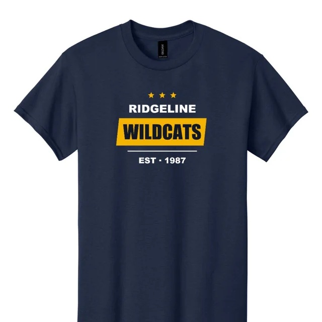 Sample design on a navy tee