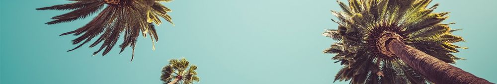 Ricardo brand banner