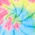 Neon Rainbow