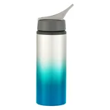SILVER TEAL