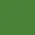 Kiwi Green