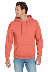 Sunset Coral