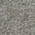 Grey Frost