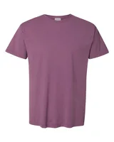 Purple Plum Raisin