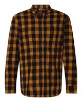 Tobacco/ Black Buffalo