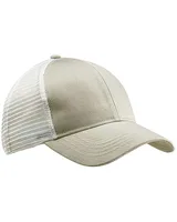 Dolphin/ White